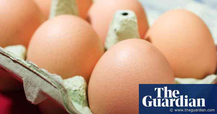 Low-welfare eggs from caged hens imported to UK in ‘staggering’ numbers