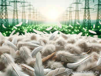 Mit Hühnerfedern grünen Strom produzieren