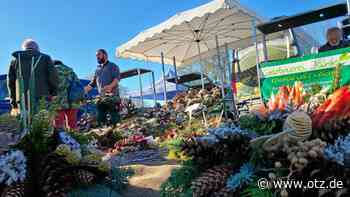 Volles Programm zum Großeutersdorfer Gänsemarkt, doch Hauptattraktion wird fehlen
