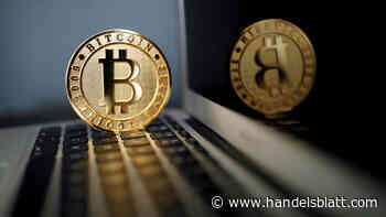 Kryptowährungen: Bitcoin über 31.000 Dollar – Wie eine Falschmeldung eine Rally auslöste