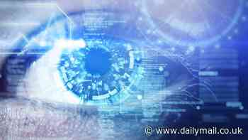 How a US computer firm could soon get its hands on YOUR NHS medical records