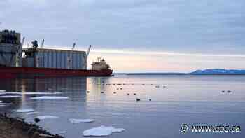 St. Lawrence Seaway strike leaving goods, ships stranded at Port of Thunder Bay