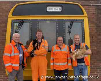 Two cats find forever home at Blackpool's Northern depot
