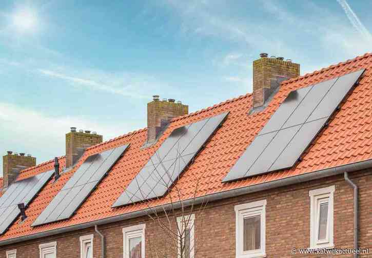 Versteende tuinen en weinig subsidievragen: Katwijk scoort slecht op Duurzaamheidsindex