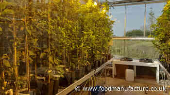 £1.6m awarded to sustainable food and drink innovators