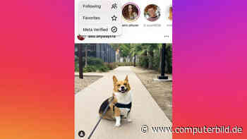 Instagram testet Exklusiv-Feed für verifizierte Konten