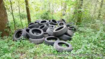 80 Autoreifen illegal im Wald entsorgt: Polizei sucht Zeugen