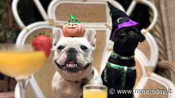 Spooky Halloween al Mama Shelter Roma