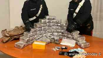 Spaccio sul litorale, il gruppo italo albanese con 30 chilogrammi di hashish in casa