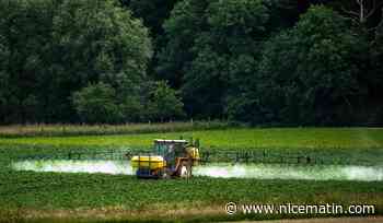 Les eurodéputés se prononcent en faveur de la réduction de moitié de l'usage des pesticides
