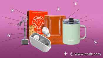 Affordable Stocking Stuffers: Gifts for Kids, Teens, Pets and More     - CNET