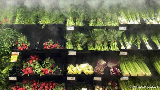 Grocers called back to Parliament to testify about plans to stabilize prices