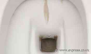 ‘Tried and tested’ 10-minute tip to banish toilet limescale - it’s an ‘absolute godsend’