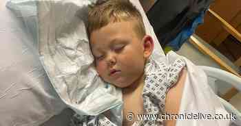 Ashington dog horror: Police reviewing past report about dog that mauled youngster Kaiden Burn