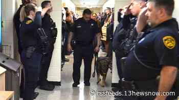 Virginia Beach Sheriff's Office has final walkout for Candy, K9 diagnosed with cancer