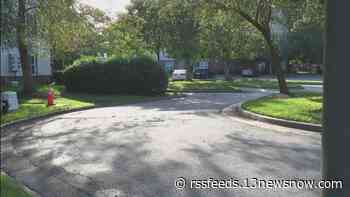 Woman charged in death of her 8-year-old brother who climbed out of moving car in Hampton, police say