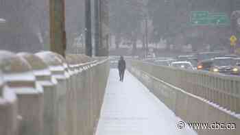 First snowfall event of the season hits south, central Sask.