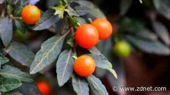 Data poisoning tool lets artists fight back against AI scraping. Here's how