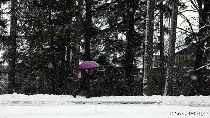 Southern B.C. sees snow at higher levels as incoming rainstorm meets arctic cold