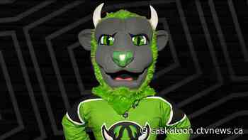 Sask. Rush considers 'Horny' for mascot name