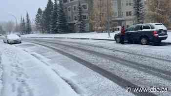 Need winter tires? A car expert breaks down your options