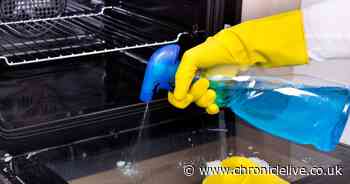 Woman shares cheap and easy trick to clean oven racks and remove grime from cooker hoods