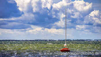 Australischer Wurm breitet sich rasend schnell an Ostsee aus – „deutlicher neuer Höhepunkt“