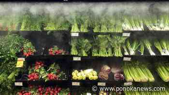 Grocers called back to Parliament to testify about plans to stabilize prices