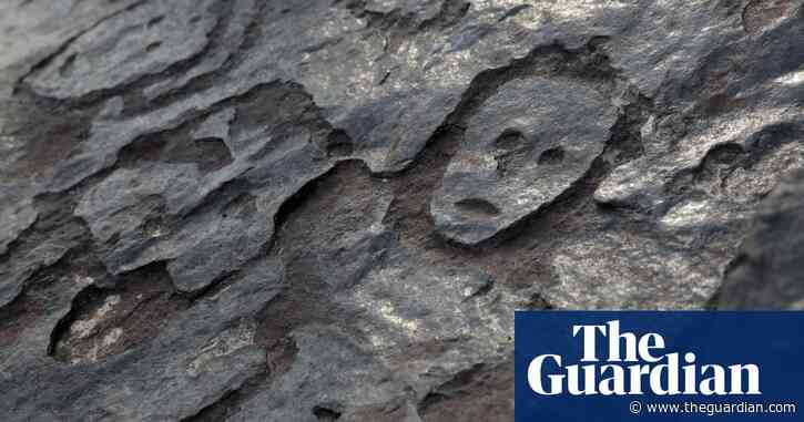 Ancient rock carvings revealed by receding Amazon waters amid drought