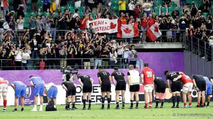 World Rugby announces sweeping competition changes to global calendar