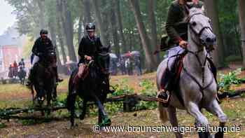 Unfall in Südheide: Pferd fällt auf Reiterin – 49-Jährige stirbt