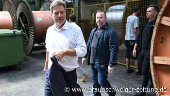 Habecks Industriestrategie: Wer soll das bezahlen?