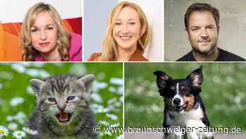 Kann man Hund und Katze vegan ernähren?