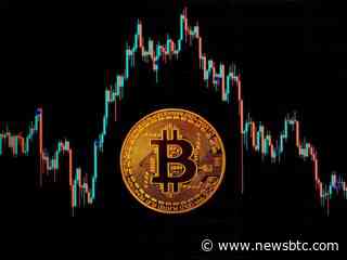 Bitcoin: On-Chain Tracker Points Out Interesting Difference Between Current And Past Rallies