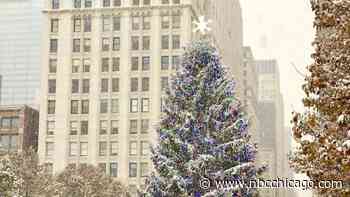 Mark your calendars: Chicago's official holiday tree lighting date announced