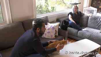 Unique program pairs Georgian College students with seniors to address affordable housing options