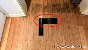 Tenants say they warned agency of 'extremely fragile' flooring months before pregnant woman fell through floor