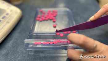 Sask. pharmacists encourage people to hand over expired, unused prescription drugs