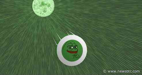 PEPE Roars Ahead: Dominates SHIB And DOGE With Record-Breaking 6.9T Burn