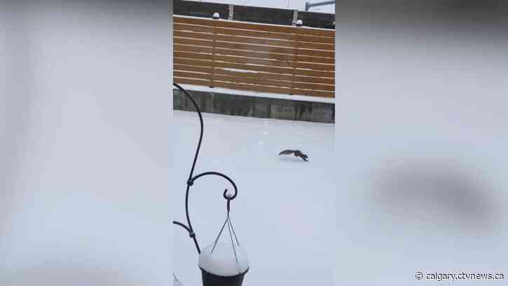 Expect to see more sunshine on Wednesday than we have for the past couple of days