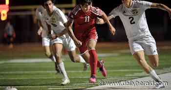 Boys soccer: Palatine edges Stevenson in OT, advances to sectional final