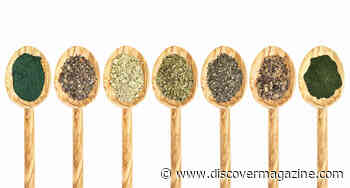 Navigating the Waters: The Potential Benefits and Side Effects of Sea Moss