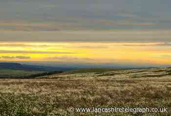 Major peatland restoration project underway on Darwen moor