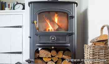 Britons warned they could get £300 fine if they use a log burner