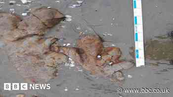 Dinosaur footprints exposed on resort's beach