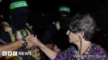 Watch: Released Israeli hostage shakes her captor's hand