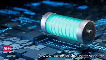 Ohne China bleiben die Batteriepreise hoch