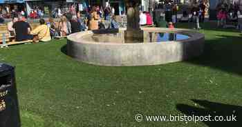 Artificial grass could be banned in Bristol new-builds in bid to help the bees