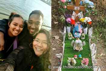 Premature Woolwich twins die after IT glitch cancelled vital scan