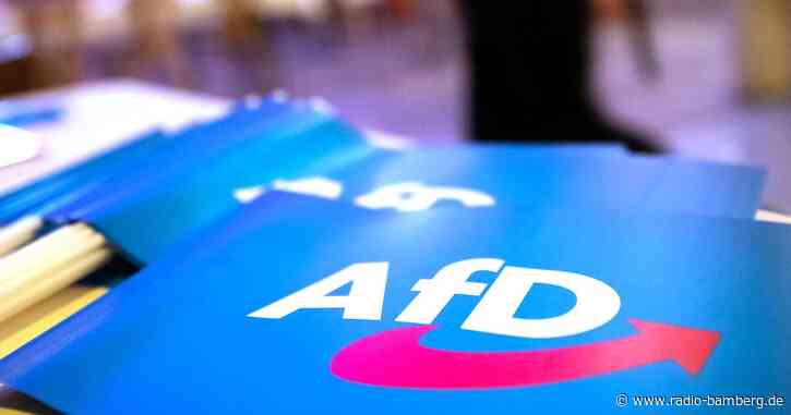 Wahlumfrage: AfD in Sachsen-Anhalt knapp vor CDU